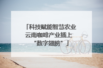 科技赋能智慧农业 云南咖啡产业插上“数字翅膀”