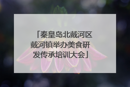 秦皇岛北戴河区戴河镇举办美食研发传承培训大会