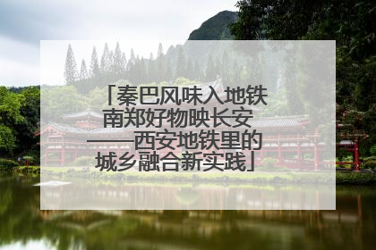 秦巴风味入地铁 南郑好物映长安——西安地铁里的城乡融合新实践