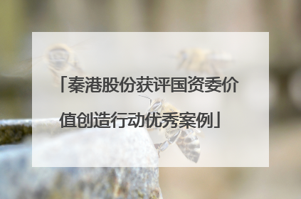 秦港股份获评国资委价值创造行动优秀案例