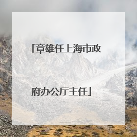 章雄任上海市政府办公厅主任