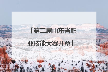 第二届山东省职业技能大赛开幕
