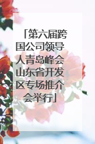 第六届跨国公司领导人青岛峰会山东省开发区专场推介会举行