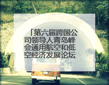第六届跨国公司领导人青岛峰会通用航空和低空经济发展论坛举行 滨州市全方位推介低空经济发展优势