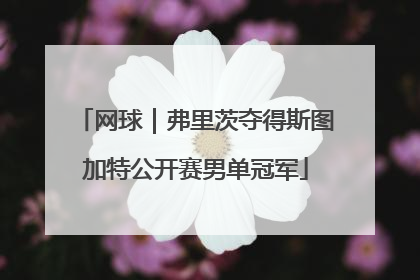 网球｜弗里茨夺得斯图加特公开赛男单冠军