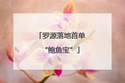 罗源落地首单“鲍鱼宝”