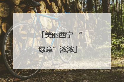 美丽西宁 “绿意”浓浓