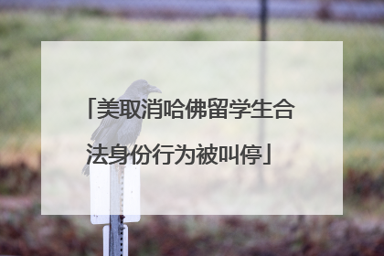 美取消哈佛留学生合法身份行为被叫停
