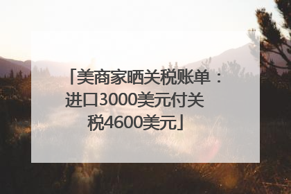 美商家晒关税账单：进口3000美元付关税4600美元