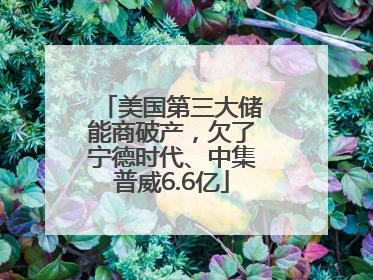美国第三大储能商破产，欠了宁德时代、中集普威6.6亿