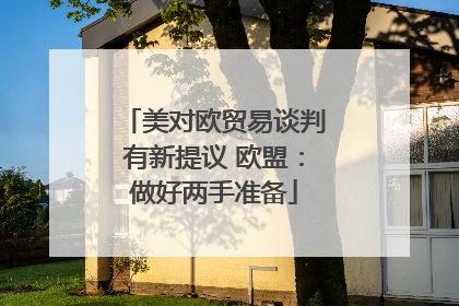 美对欧贸易谈判有新提议 欧盟：做好两手准备