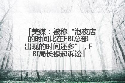 美媒：被称“泡夜店的时间比在FBI总部出现的时间还多”，FBI局长提起诉讼
