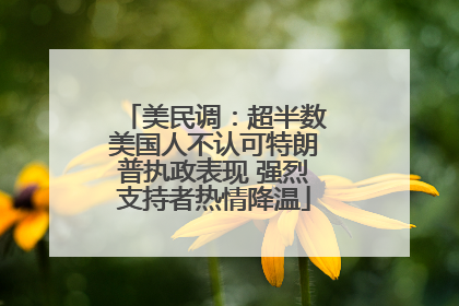 美民调：超半数美国人不认可特朗普执政表现 强烈支持者热情降温