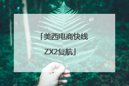 美西电商快线ZX2复航