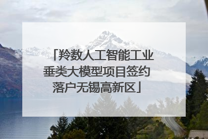 羚数人工智能工业垂类大模型项目签约落户无锡高新区
