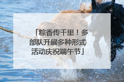 粽香传千里！多部队开展多种形式活动庆祝端午节