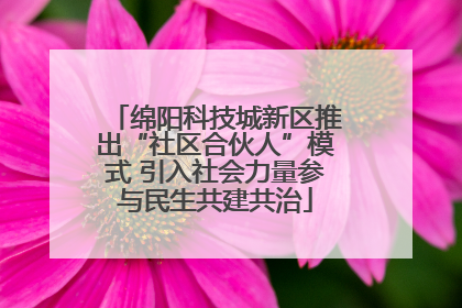 绵阳科技城新区推出“社区合伙人”模式 引入社会力量参与民生共建共治