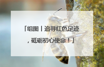 组图丨追寻红色足迹，砥砺初心使命！