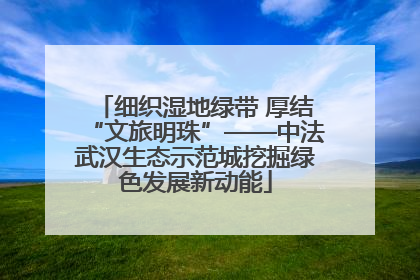细织湿地绿带 厚结“文旅明珠”——中法武汉生态示范城挖掘绿色发展新动能