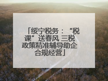 绥宁税务：“税课”送春风 三税政策精准辅导助企合规经营