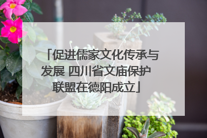 促进儒家文化传承与发展 四川省文庙保护联盟在德阳成立