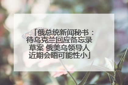 俄总统新闻秘书：待乌克兰回应备忘录草案 俄美乌领导人近期会晤可能性小