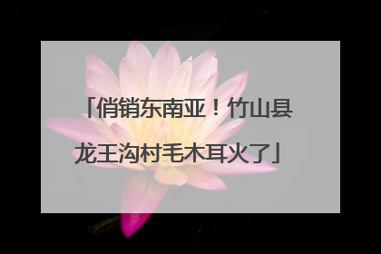 俏销东南亚！竹山县龙王沟村毛木耳火了