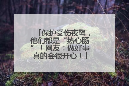 保护受伤夜鹭，他们都是“热心肠”！网友：做好事真的会很开心！
