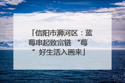 信阳市浉河区：蓝莓串起致富链 “莓”好生活入画来