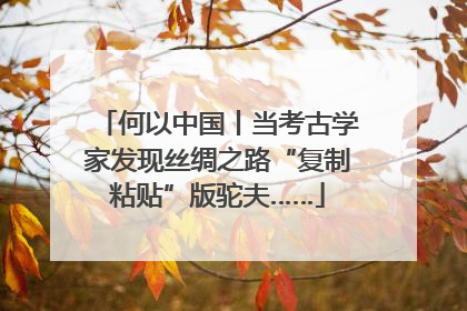 何以中国丨当考古学家发现丝绸之路“复制粘贴”版驼夫……
