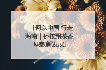 何以中国·行走海南｜侨校飘茶香 职教新发展