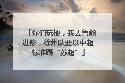 你们玩梗，我去鲁能进修，徐州队要以中超标准踢“苏超”