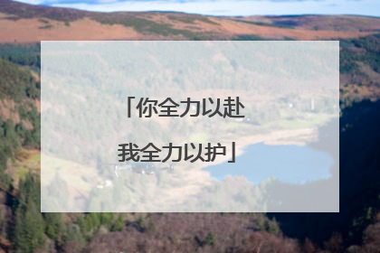 你全力以赴 我全力以护