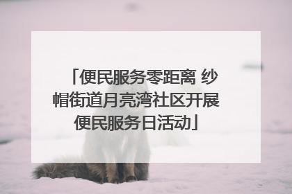 便民服务零距离 纱帽街道月亮湾社区开展便民服务日活动