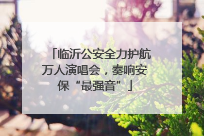 临沂公安全力护航万人演唱会，奏响安保“最强音”