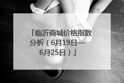 临沂商城价格指数分析（6月19日—6月25日）