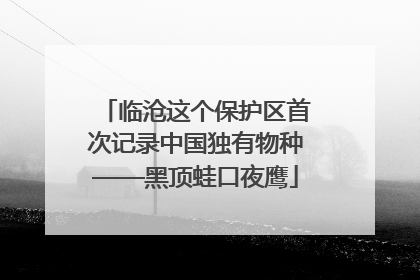临沧这个保护区首次记录中国独有物种——黑顶蛙口夜鹰