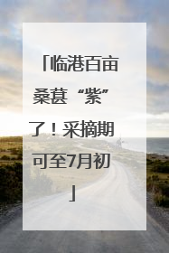 临港百亩桑葚“紫”了！采摘期可至7月初
