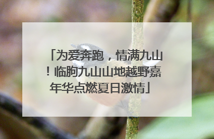为爱奔跑，情满九山！临朐九山山地越野嘉年华点燃夏日激情
