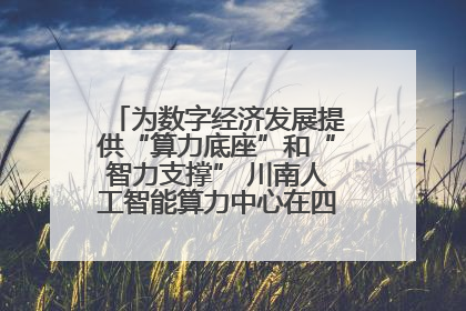 为数字经济发展提供“算力底座”和“智力支撑” 川南人工智能算力中心在四川泸州启动