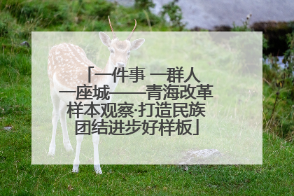 一件事 一群人 一座城——青海改革样本观察·打造民族团结进步好样板