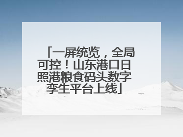 一屏统览，全局可控！山东港口日照港粮食码头数字孪生平台上线