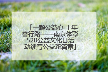 一颗公益心 十年善行路——南京体彩520公益文化日活动续写公益新篇章