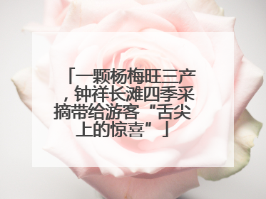 一颗杨梅旺三产，钟祥长滩四季采摘带给游客“舌尖上的惊喜”