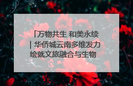 万物共生 和美永续｜华侨城云南多维发力 绘就文旅融合与生物多样性保护新图景