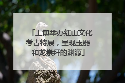 上博举办红山文化考古特展，呈现玉器和龙崇拜的渊源