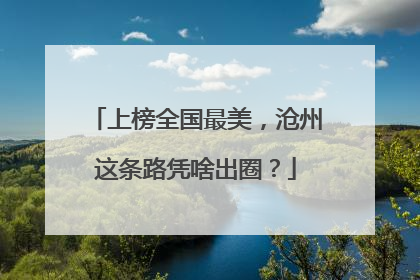 上榜全国最美，沧州这条路凭啥出圈？