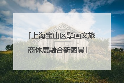 上海宝山区擘画文旅商体展融合新图景