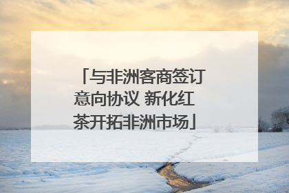 与非洲客商签订意向协议 新化红茶开拓非洲市场