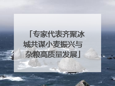 专家代表齐聚冰城共谋小麦振兴与杂粮高质量发展
